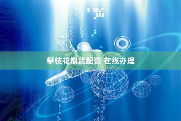 攀枝花期货配资 在线办理