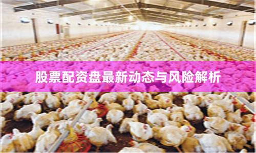 股票配资盘最新动态与风险解析